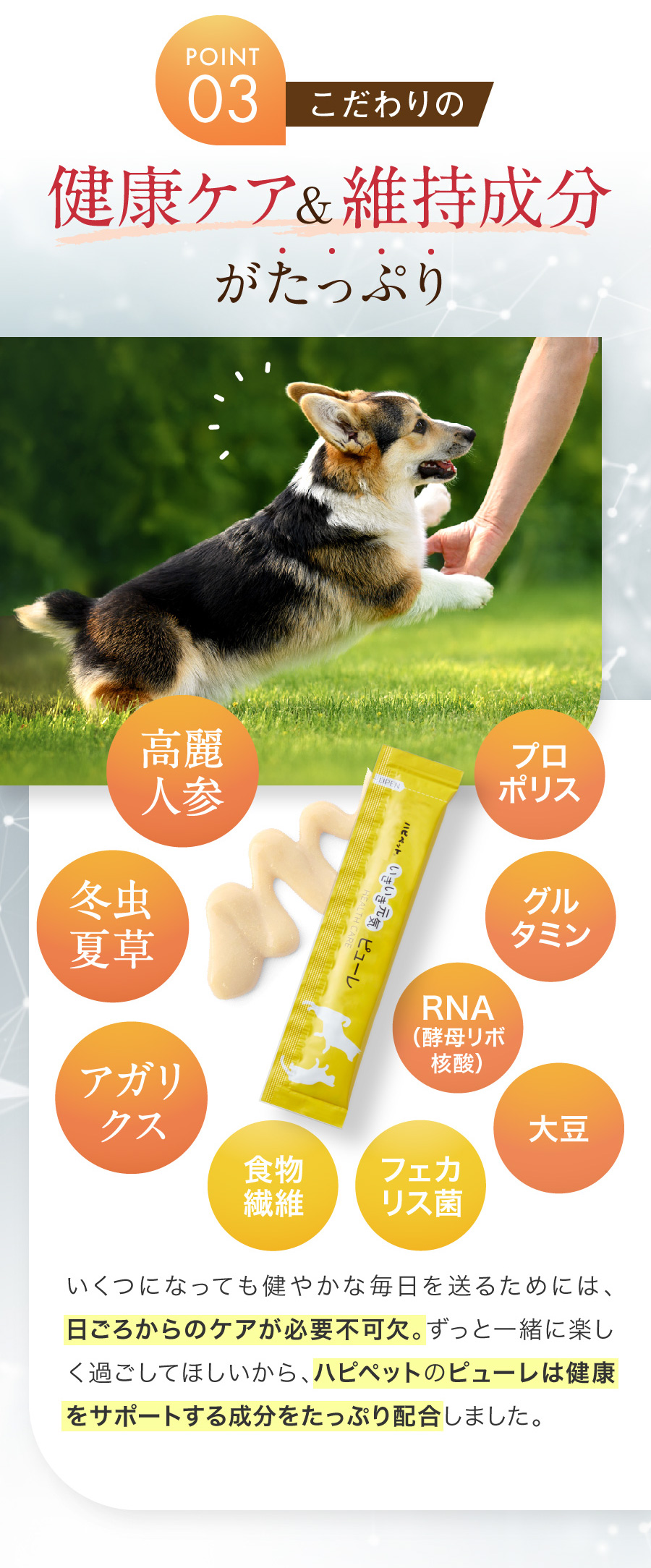 ハピペット 和漢ピューレ【公式】-健康維持と免疫ケアにこの1本
