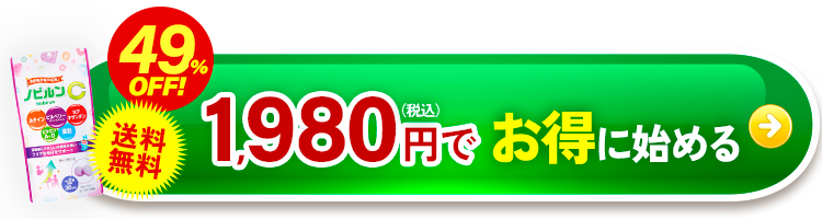 1980円でお得に始める